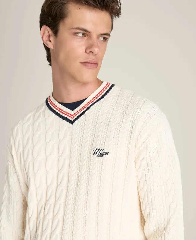 Novelty V-Neck Sweater